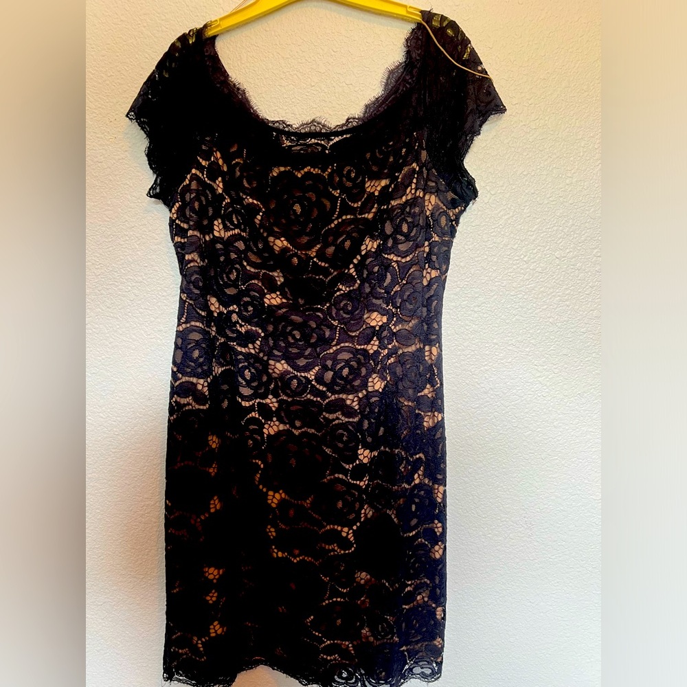Adrianna Papell Lace Navy Dress with nude slip size 16